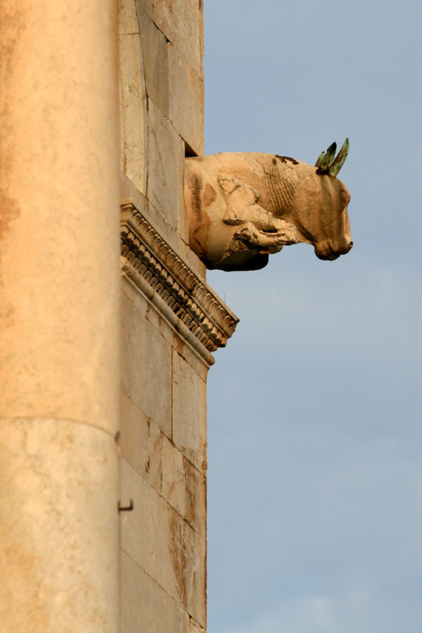 Stier aus Pisa, Italien