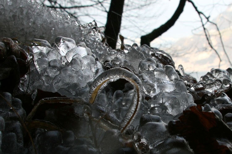 Frost Eis Winter